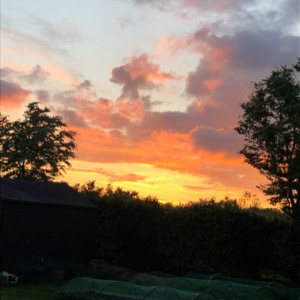 Babysitter required in Naas, County Kildare, Ireland
