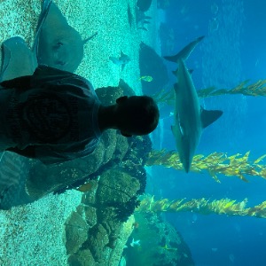 Babysitter required in Greystones, County Wicklow, Ireland