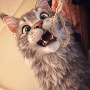 Babysitter required in Cork, Ireland