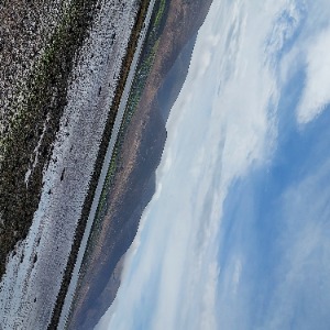 Babysitter required in Tralee, County Kerry, Ireland