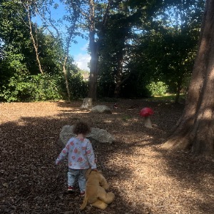 Nanny Dublin