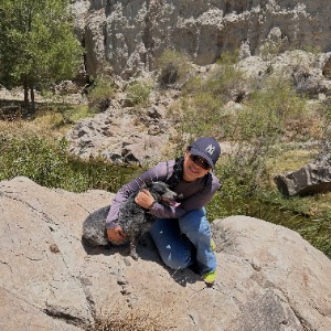 Babysitter required in Limerick, Ireland