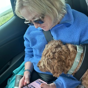 Babysitter required in Moynehall, Co. Cavan, H12 Y5N4, Ireland