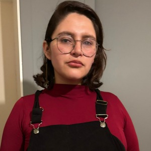 Babysitter required in Dublin, Co. Dublin, D04 TN29, Ireland