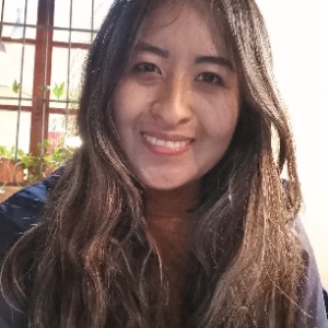 Babysitter required in Bryanstown Manor, Drogheda, Co. Louth, A92 E670, Ireland