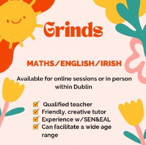 Babysitter required in Dublin, Ireland