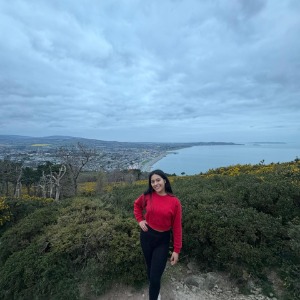 Babysitter required in Dublin, Co. Dublin, D04, Ireland