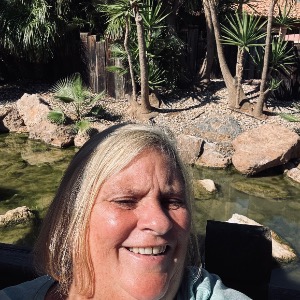 Babysitter required in Kilruddery Demesne West, Bray, Co. Wicklow, A98 RK46, Ireland