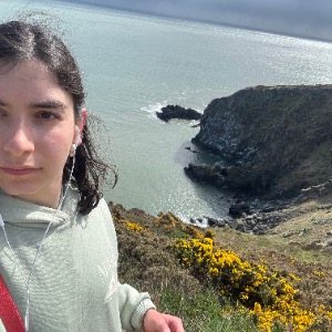 Babysitter required in Luttrellstown Drive, Castlecnock, Dublin, Irlanda