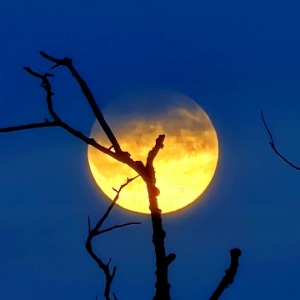 Babysitter required in Douglas, Cork, Ireland