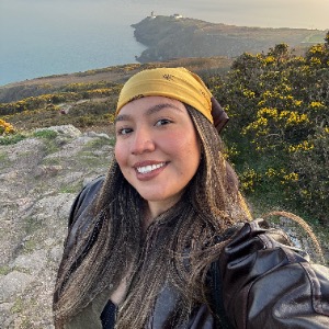 Babysitter required in Ranelagh, Dublin, D06 F304, Ireland