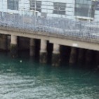 Babysitter required in Stillorgan, Dublin, Ireland