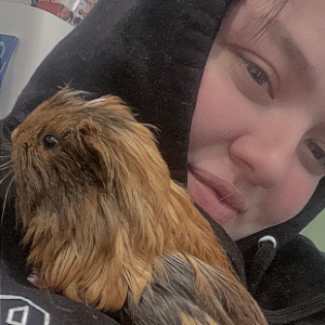 Pet Minders Dublin