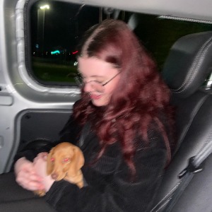 Pet Minders Dublin