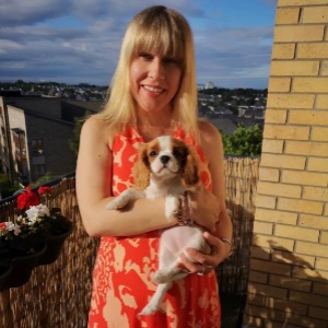 Dog walkers Dublin