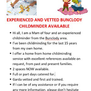 Babysitter required in Bunclody, County Wexford, Ireland