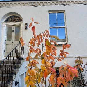 Babysitter required in Ranelagh, Dublin, Ireland