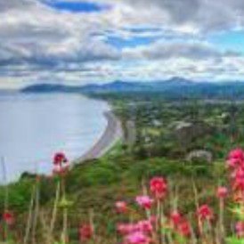 Babysitter required in Killiney, Dublin, Co. Dublin, A96 FH01, Ireland