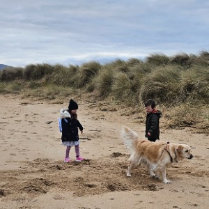 Babysitter required in Navan, County Meath, Ireland