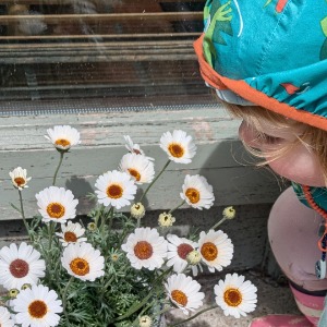 Babysitter required in Marshes Lower, Dundalk, Co. Louth, A91 W6K3, Ireland