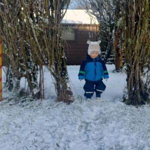 Babysitter required in Galway City, County Galway, Ireland