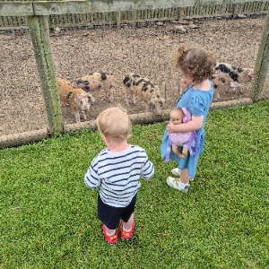 Babysitter required in Kilmacud West, Dublin, Co. Dublin, A94 Y6T7, Ireland