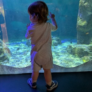 Babysitter required in Churchtown Upper, Dublin, Co. Dublin, D14 A259, Ireland