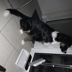 Babysitter required in Cheeverstown, Dublin, Co. Dublin, D24 H9P8, Ireland