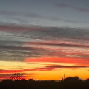 Babysitter required in Millfarm, Co. Kildare, R56 CY20, Ireland