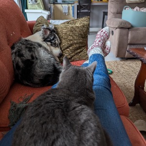 Babysitter required in Munsburrow, County Waterford, Ireland