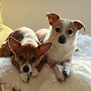 Babysitter required in Kernanstown, Carlow, Co. Carlow, R93 D6K6, Ireland