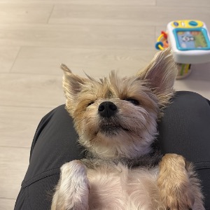 Babysitter required in Malahide, County Dublin, Ireland