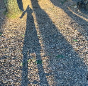 Babysitter required in Wexford, Ireland