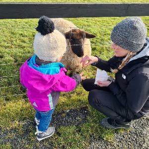 Babysitter required in Curraghgraigue, Co. Tipperary, E41 Y4C8, Ireland