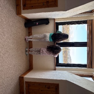 Babysitter required in Woodpark, Dublin, Co. Dublin, A96 N2RY, Ireland