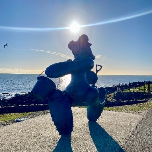 Babysitter required in Greystones, Co. Wicklow, Ireland