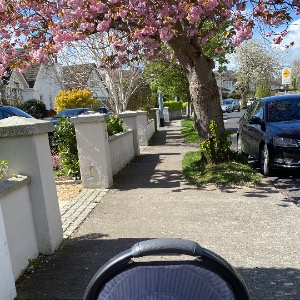 Babysitter required in Clonskeagh, Dublin, Ireland
