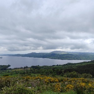 Babysitter required in Carrowbaun, Co. Clare, V94 HAC1, Ireland