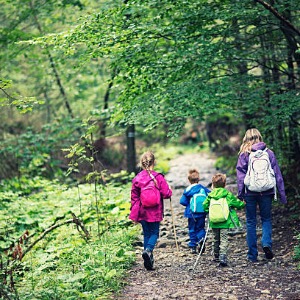 Babysitter required in D&uacute;n Laoghaire, Dublin, Ireland