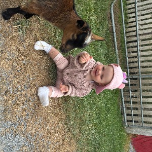 Babysitter required in Glasson, County Westmeath, Ireland