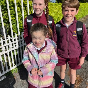 Babysitter required in Killotteran, County Waterford, Ireland