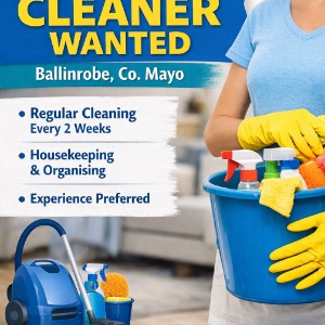 Babysitter required in Cornaroya, Co. Mayo, F31 T854, Ireland